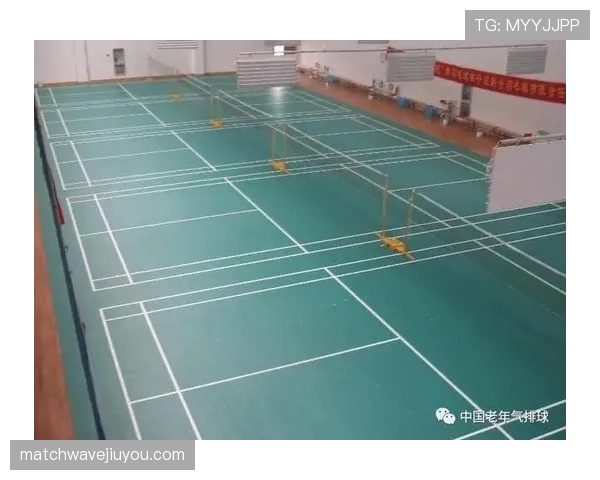 边线规则拆解：什么时候触线算出界，裁判如何准确判罚？