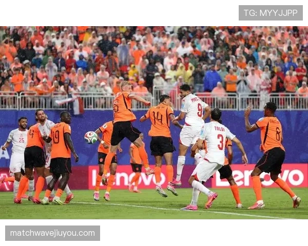 荷兰3-1突尼斯：世界杯F组末轮战报